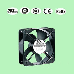 香蕉在线观看视频20060