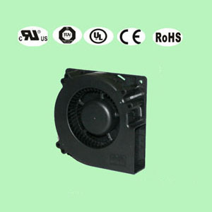 香蕉在线观看视频12032