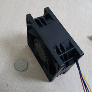 9238香蕉在线观看视频